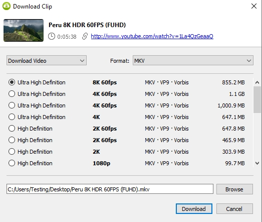 Select a quality type in the download window and press 'Download' button.