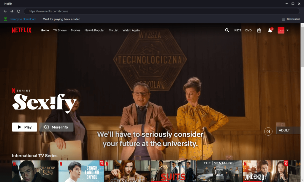 Visit the software interface MyStream Netflix Video Downloader