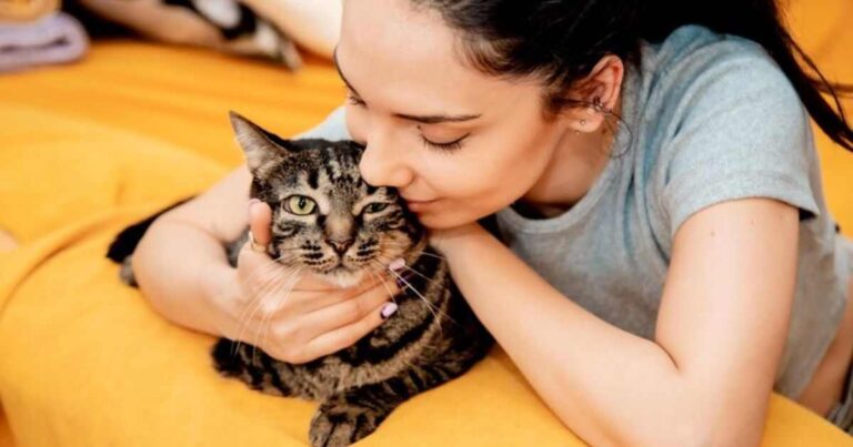 The Mystery Behind Your Cat Love Bites