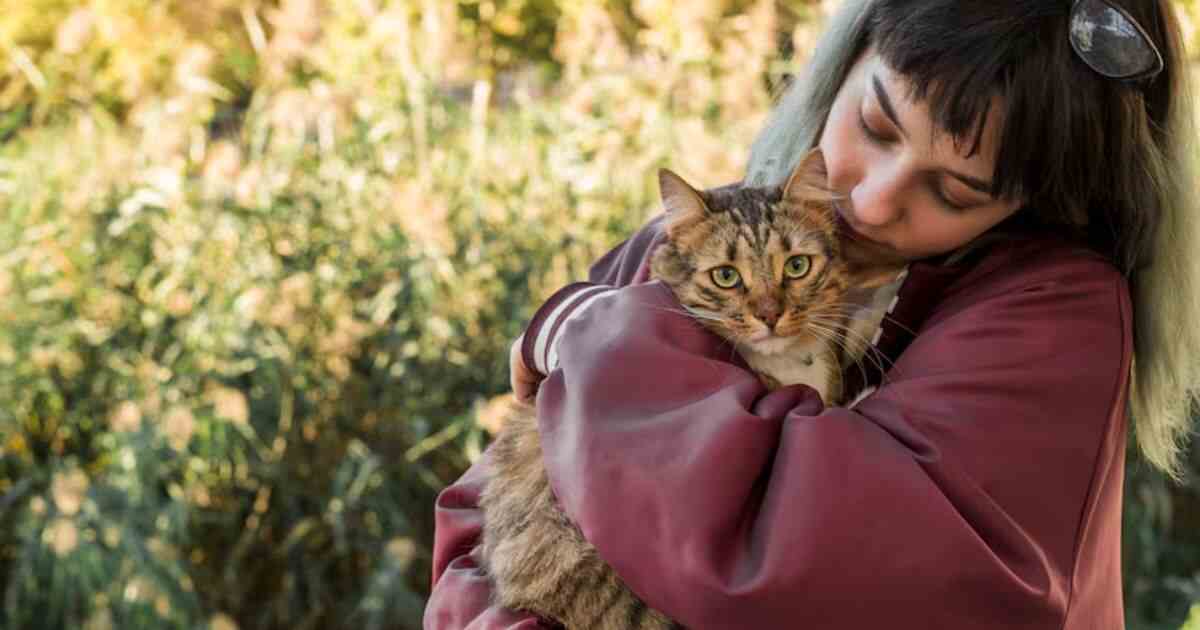 International Hug Your Cat Day: Celebrating the Perfect Companionship