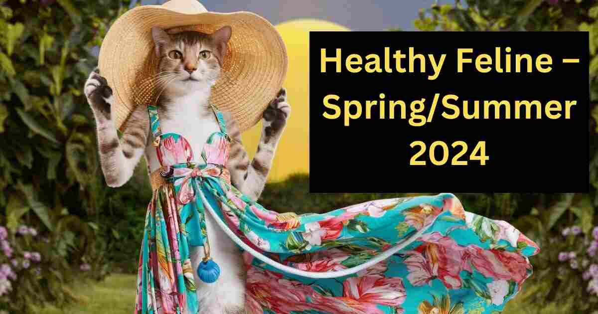 Healthy Feline – Spring/Summer 2024