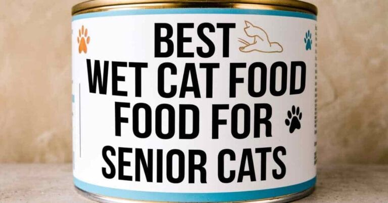 What's the Best Wet Cat Food for Senior Cats?