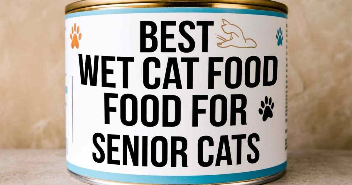 What's the Best Wet Cat Food for Senior Cats?