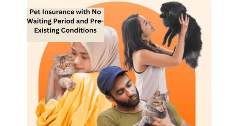 Pet Insurance with No Waiting Period and Pre-Existing Conditions