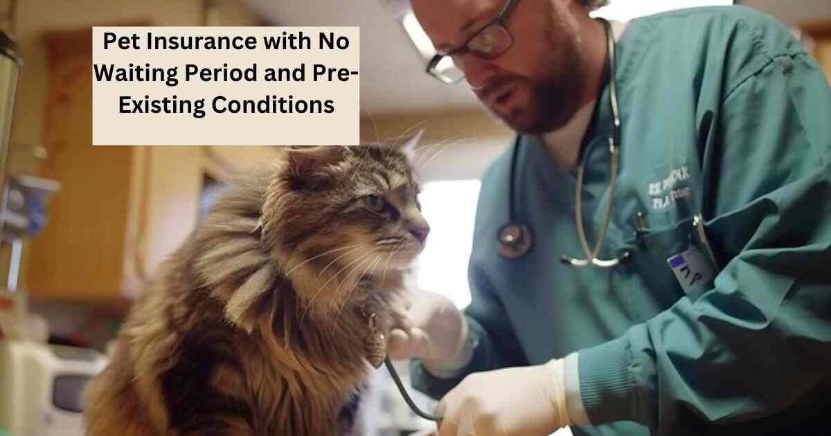 Pet Insurance with No Waiting Period and Pre-Existing Conditions