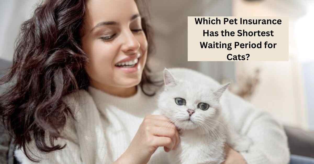 Which Pet Insurance Has the Shortest Waiting Period for Cats?