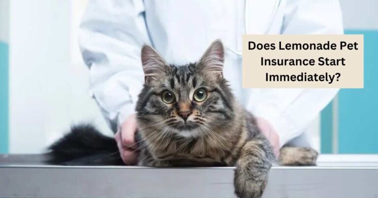 Does Lemonade Pet Insurance Start Immediately?