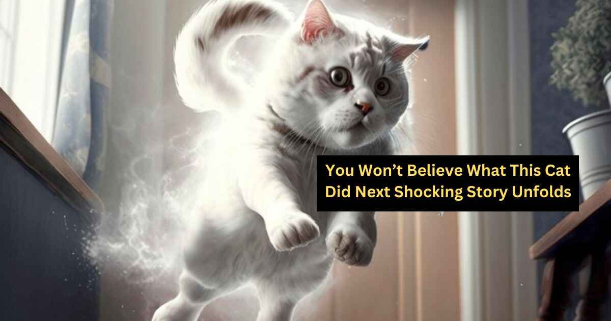 You Won’t Believe What This Cat Did Next Shocking Story Unfolds