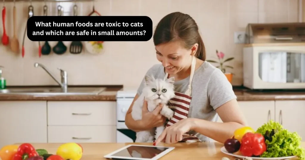 What human foods are toxic to cats and which are safe in small amounts?
