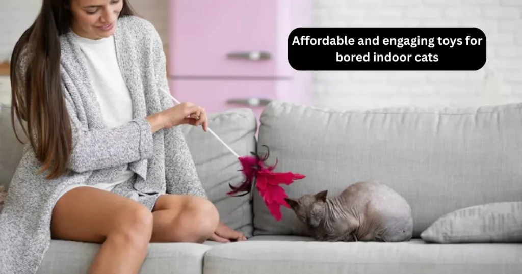 Affordable and Engaging Toys for Bored Indoor Cats