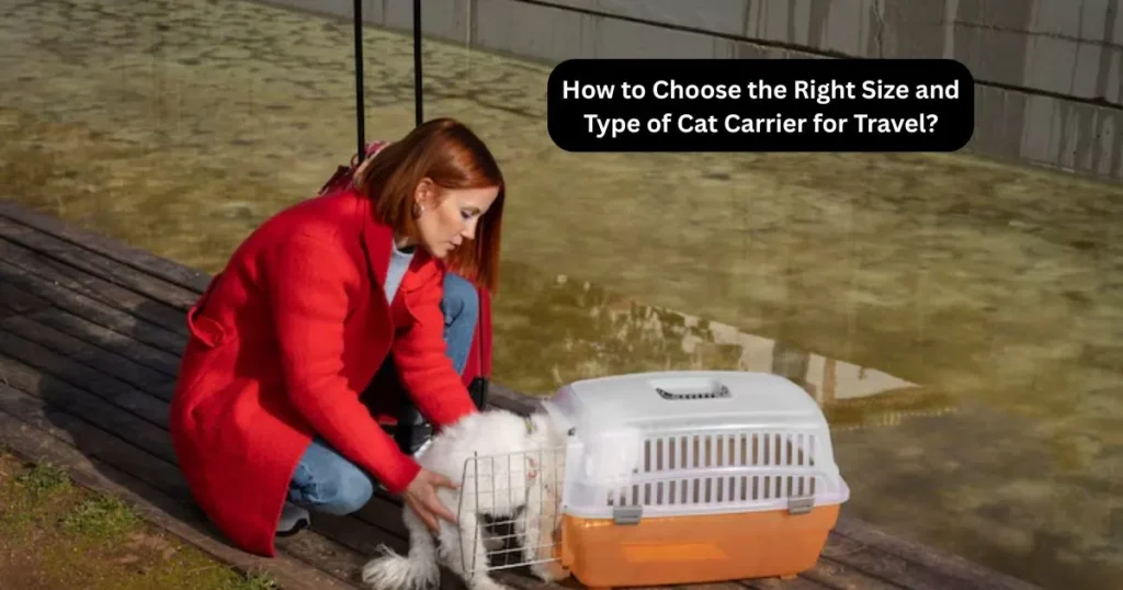 How to Choose the Right Size and Type of Cat Carrier for Travel?