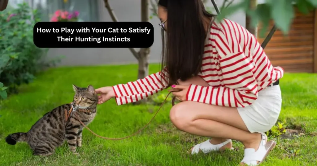 How to Play with Your Cat to Satisfy Their Hunting Instincts